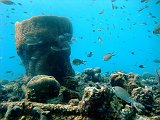 Curacao 04-12 243